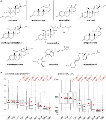 In silico pharmacological study of AQP2 inhibition by steroids contextualized to Ménière’s disease treatments